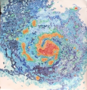 Jody Rasch, Galaxy M51