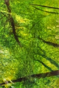 Joyce Yamada, Rainforest - Green Stream