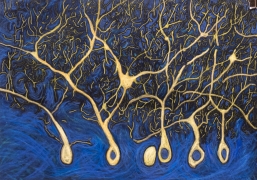 Jody Rasch, Thought - Neurons