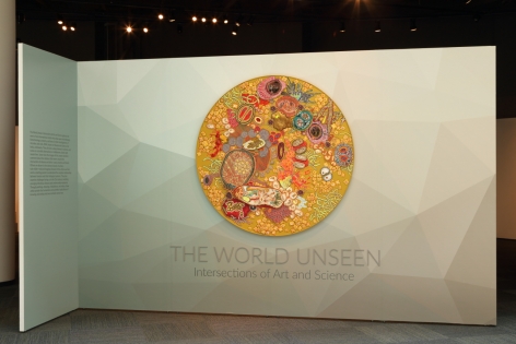 Jody Rasch, The World Unseen: Intersections of Art and Science